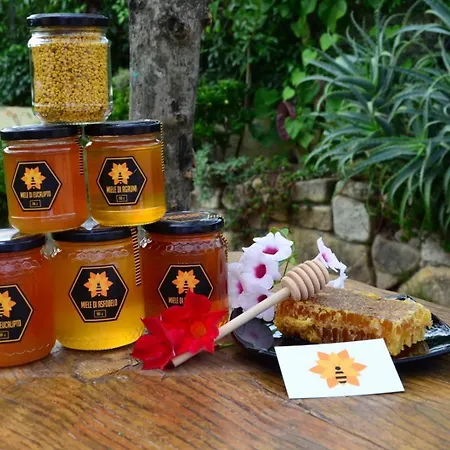 Villa Casa 1 Castiadas